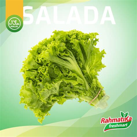 Jual Selada Segar Daun Selada Fresh Gram Sayur Segar Shopee