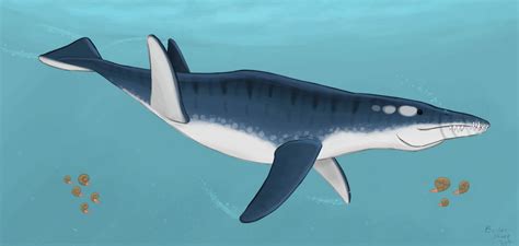 Liopleurodon Ferox By Evilershark204 On Deviantart