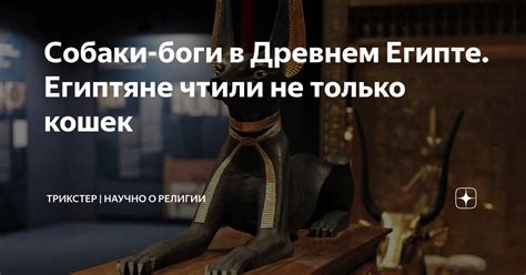 Собаки-боги в Древнем Египте. Египтяне чтили не только кошек | ТРИКСТЕР ...