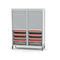 Transfer Cabinet Weecart Weppes Solutions Supply For