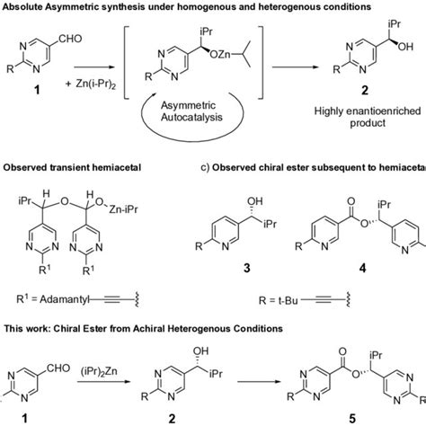 Scheme A Absolute Asymmetric Synthesis Initiated By Symmetry