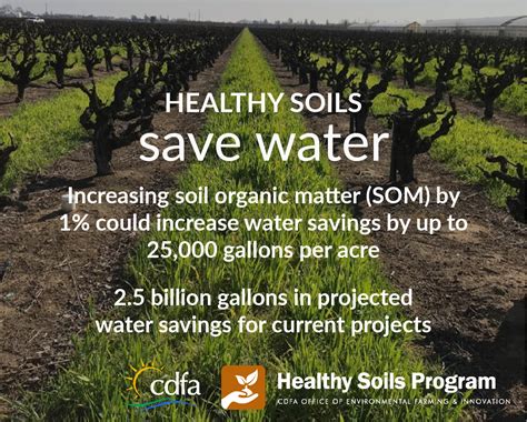 Healthy Soils Save Water Cdfa S Planting Seeds Blogcdfa S Planting