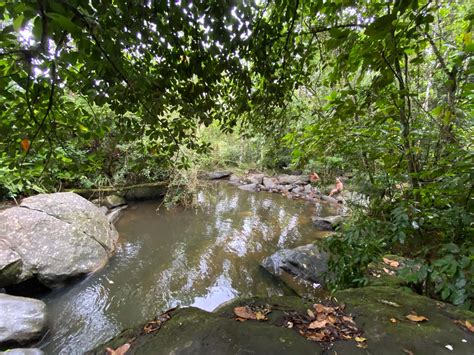 Explorando A Magia Da Cachoeira Do Vil O Um Para So Natural