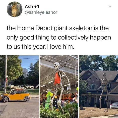 Thank you Home Depot skeleton : memes