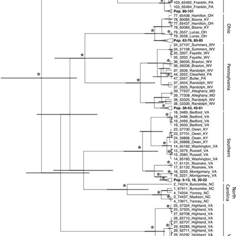 Bayesian Mitochondrial Dna Mtdna Phylogeny Inferred Using Beast