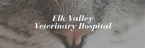 Elk Valley Veterinary Hospital 362 Reviews Veterinarians In Elkview Wv