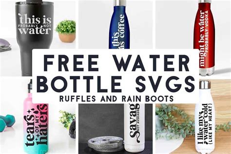 Free Funny Water Bottle Svg Bundle