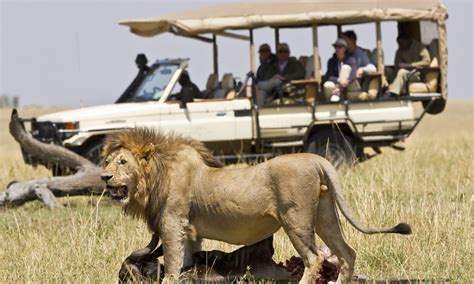 Best African Safari Wildlife Tours Laba Africa Expeditions