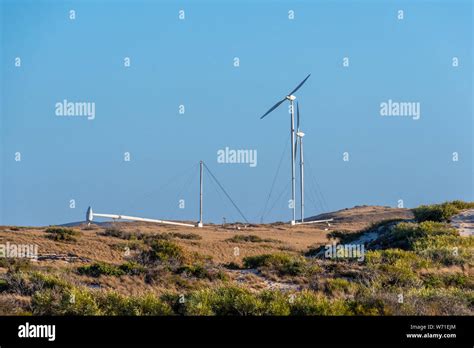 Erectable Wind Turbines Of Coral Bay Used For Seawater Desalination