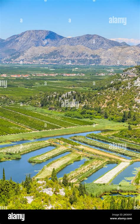 Neretva River Delta Agriculture High Resolution Stock Photography And