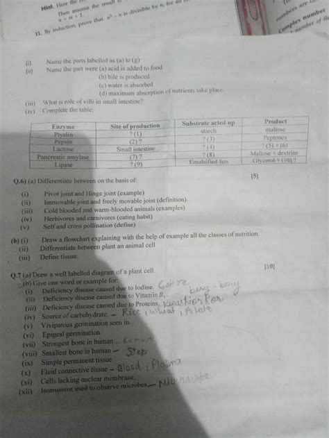 Q7 Adraw A Well Labelled Diagram Of A Plant Cell 10 B Give One Wo