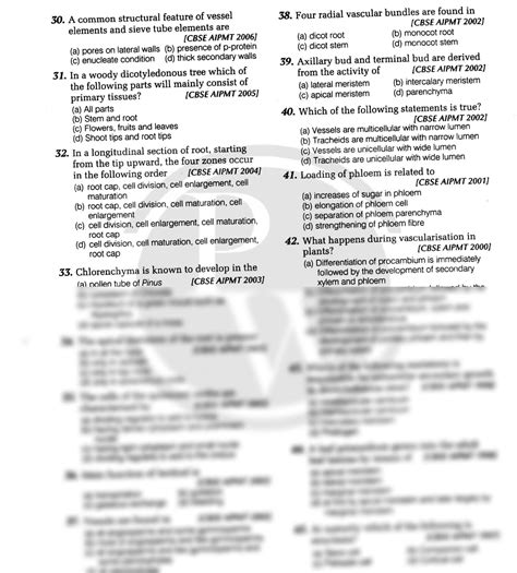 Solution Anatomy Of Flowering Plant Studypool