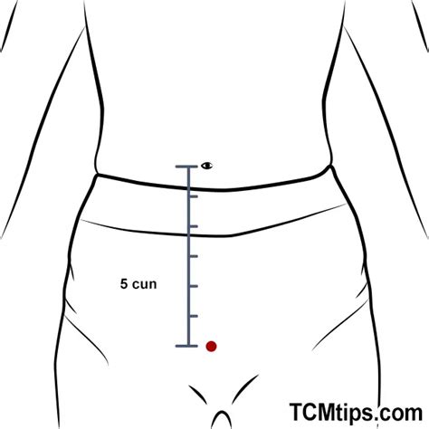 Acupuncture For Diaphragm Paralysis All The Stats Facts And Data You