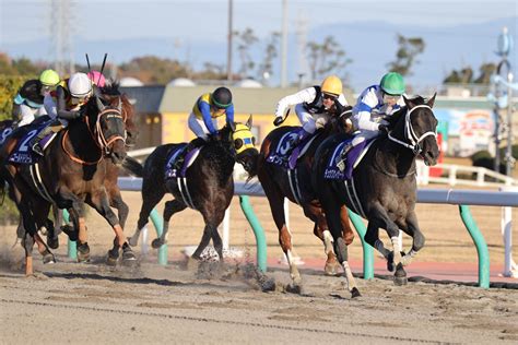 【チャンピオンズc】チュウワウィザードが大一番で打倒クリソベリル果たすg1・3勝目 戸崎「馬の力で勝たせていただいた」 Umatoku 馬トク