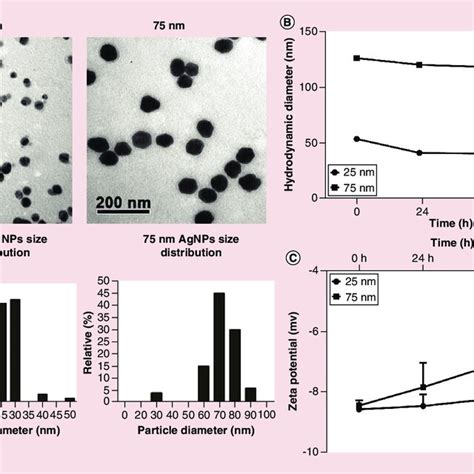 Characterization Of Silver Nanoparticles A Tem Images And Particle