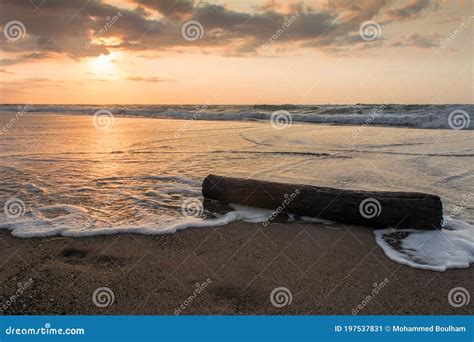 Stump at a Beach . a Stump and the Beach Sunset . Wave . a Tree Stump on the Sands of the ...