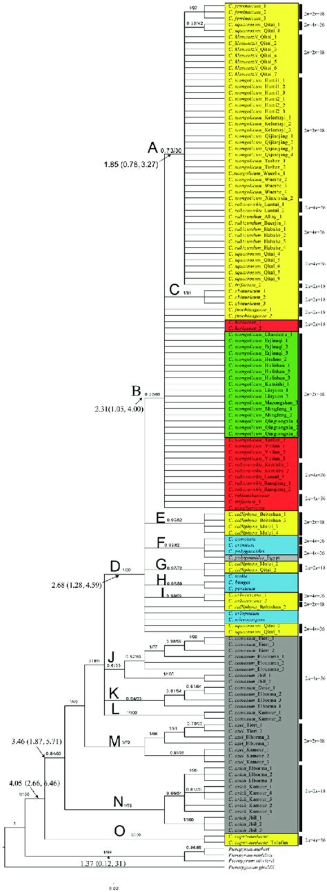 Majority Rule Tree Resulting From Bayesian Inference Of The Nrits Dna