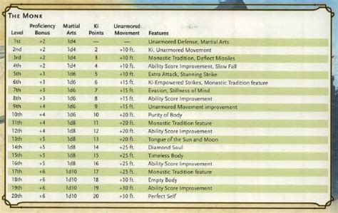 D&D 5e: Tabaxi Monk Guide - Sage Gamers