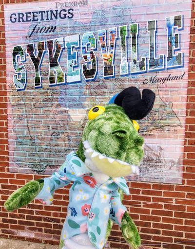 Downtown Sykesville Connection