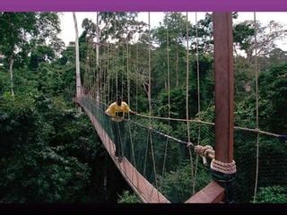 Worlds Scariest Bridge 2014 PPT