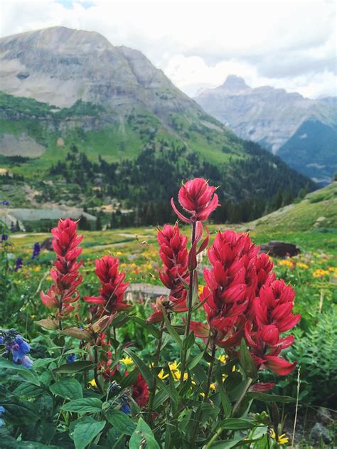 Imogene Pass - Telluride, Colorado | Cartogramme