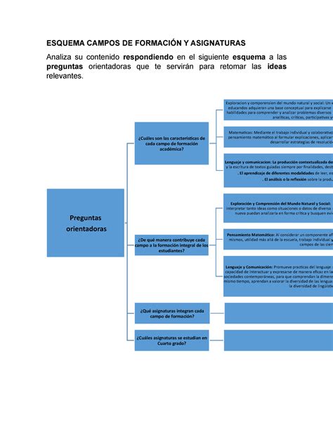 Esquema Campos De Formaci N Y Asignaturas Esquema Campos De Formaci N