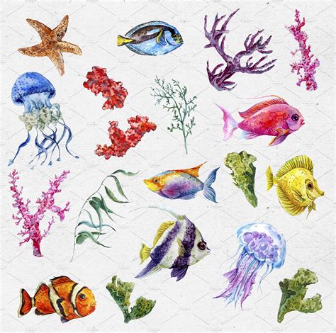 Watercolor Sea Life Clipart | Dibujos, Ilustraciones, Fondo marino