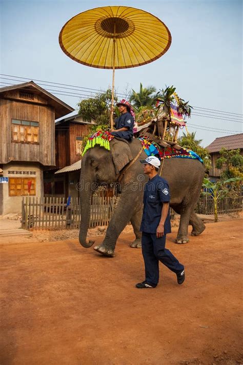 Lao Elephant Festival Hongsa Laos Imagen De Archivo Editorial