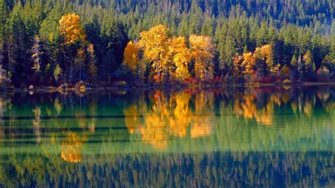 The Best Places To View Wildlife From A Paddle Board In Washington Sta