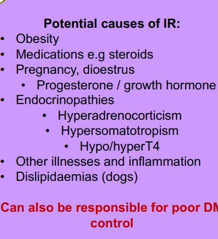 Week 40 Endocrine Endocrine Pancreatic Disorders Flashcards Quizlet