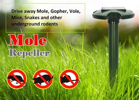 Top 10 Best Snake Repellents In 2025 Reviews