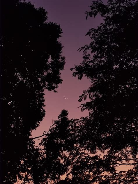 Crescent Moon in Purple Sky · Free Stock Photo