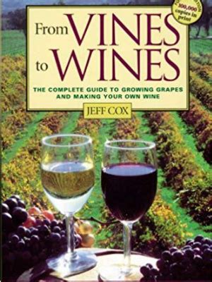 Top 12 Wine Books Written By Sommeliers For Wine Lovers