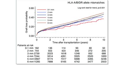 Kaplan Meier Graft Loss Curves Stratified By The Number Of Hla A B Dr