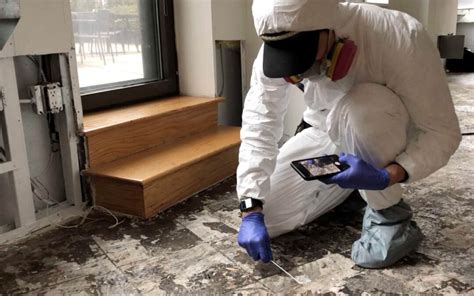 Can You Stay In Your Washington DC Home During Mold Remediation