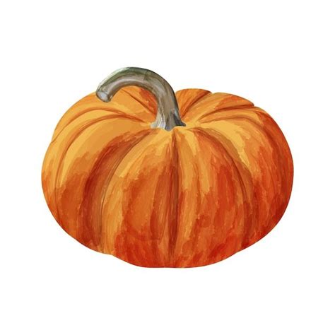 Watercolor Orange Pumpkin