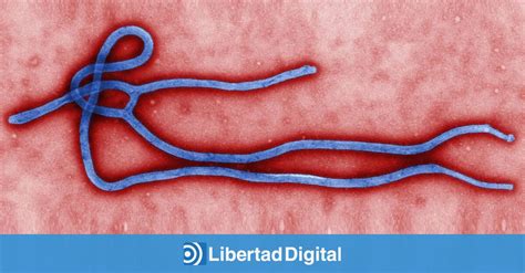 ¿qué Es El ébola Y Cómo Se Contagia Libertad Digital