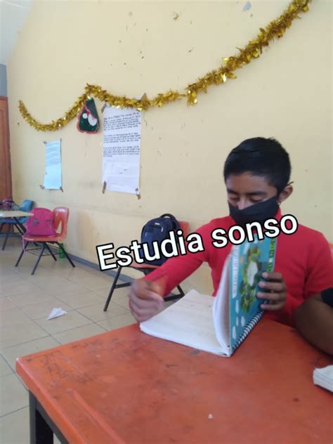 Estudia Sonso Generador Memes