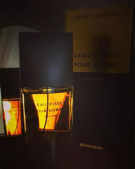 L'Eau d'Issey Pour Homme Noir Ambre Issey Miyake Colonia - una ...