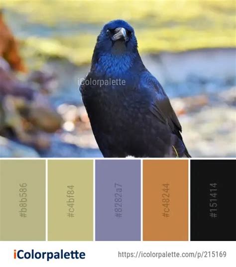 Color Palette Ideas From Bird American Crow Beak Image Icolorpalette