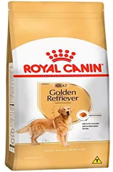 Melhor Ra O Para Golden Retriever Em Melhor Ra O