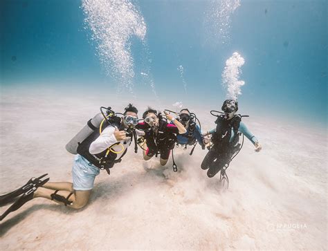 PADI Open Water Course In Playa Del Carmen AWA Scuba