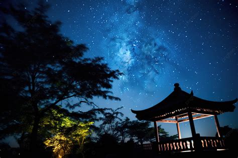 Fondo Vista Al Jardín Iluminada Por Las Estrellas Fondo Gangneung Si