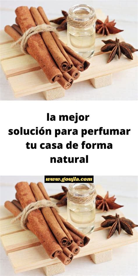 La Mejor Soluci N Para Perfumar Tu Casa De Forma Natural Como Hacer