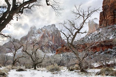 Snow in Zion National Park ! Utah Stock Photo - Image of canyons, rare: 131868764