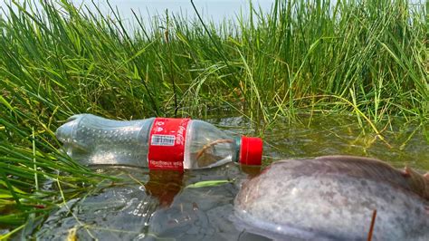 Amazing Bottle Hook Fishing Technique Catching Fish With Plastic