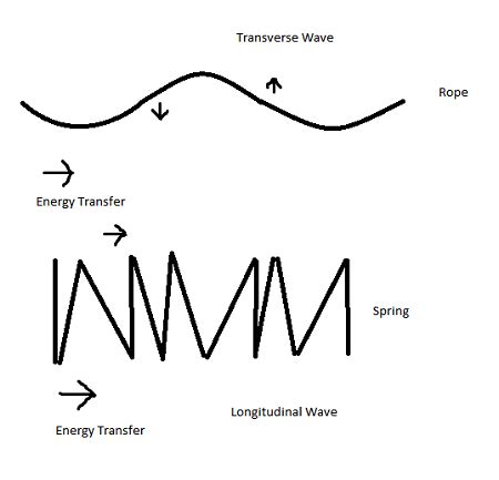 Transverse vs. Longitudinal Wave | Definition, Diagram & Examples ...