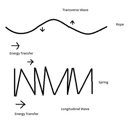 Transverse Vs Longitudinal Wave Definition Diagram Examples