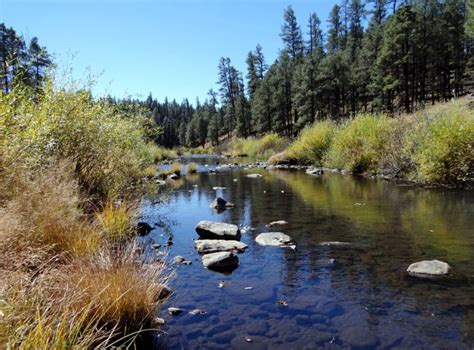 Az Camp Guide Buffalo Crossing Campground
