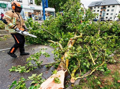 Ausma Der Baumsch Den Nach Dem Unwetter Ist Noch Unklar Freiburg